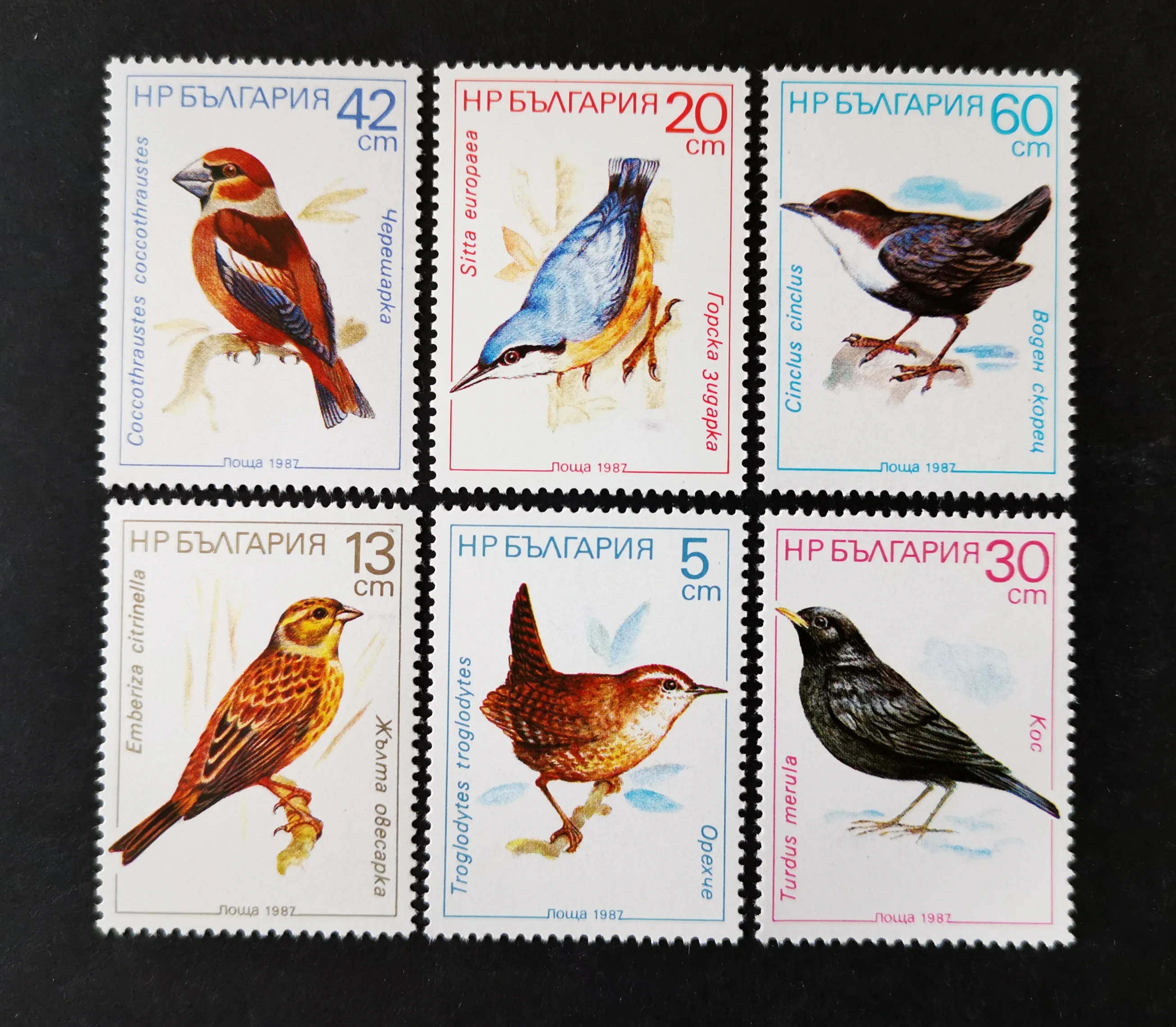 6Pcs/Set Jaunu Bulgārija Pasta Zīmogs 1987 Putnu Zīmogi MNH