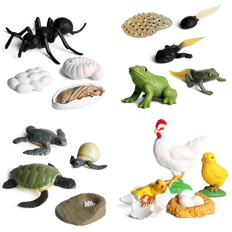 Miniatūras Kukaiņi Jūras Dzīvnieku, Augu, Sēklu Aprites Augšanas Cikla Modeli, Varde, Vistas Gliemezis, Bruņurupucis Bioloģijas Kolekcionējamus Izglītības Rotaļlietas